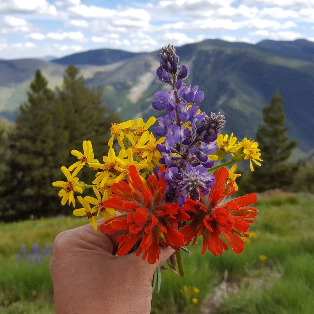 SAVE On Shipping By Bundling